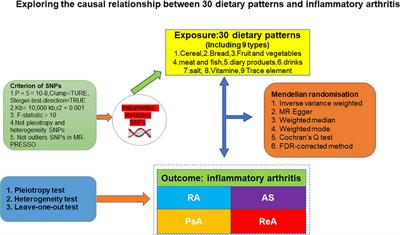 Diet affects inflammatory arthritis: a Mendelian randomization study of 30 dietary patterns causally associated with inflammatory arthritis